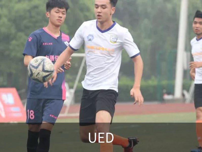 UED简介